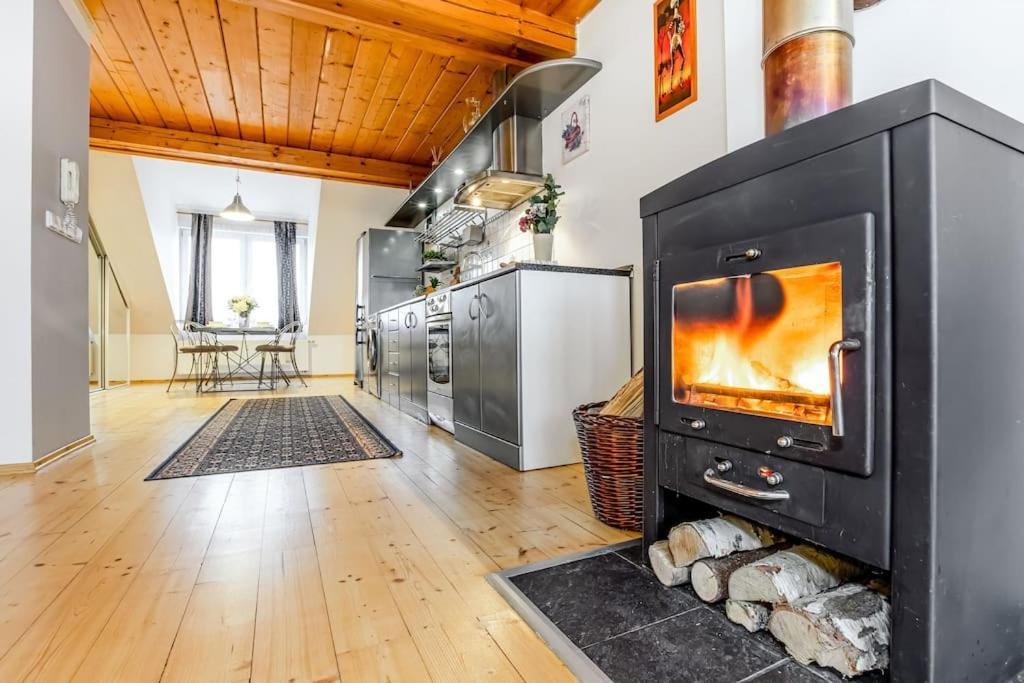 Utulny A Prostorny Podkrovni Byt S Krbovymi Kamny Ceske Budejovice Exterior foto